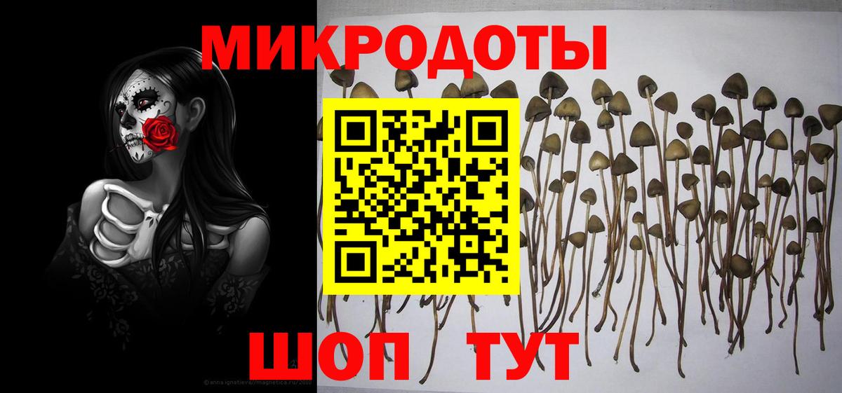 Галлюциногенные грибы MAGIC MUSHROOMS  Вход с VPN  наркота  Алатырь 